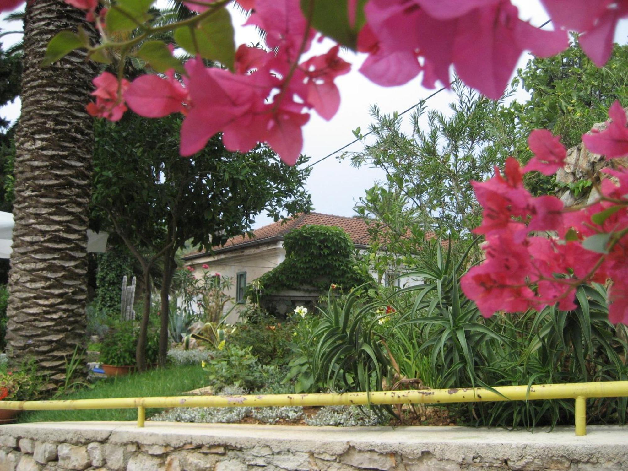 Apartments Veli Losinj Exterior photo